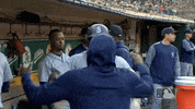 celebration group GIF by MLB