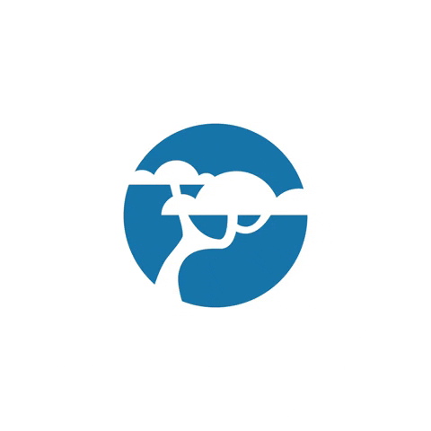 bonseyemarketing giphygifmaker bem bonseyemarketing bons eye marketing GIF
