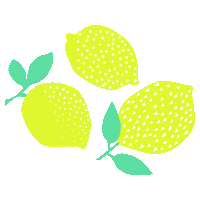 Sebastian Lemonade Sticker