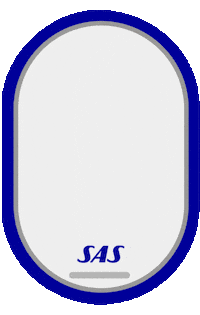 summer flying Sticker by Scandinavian Airlines Systems