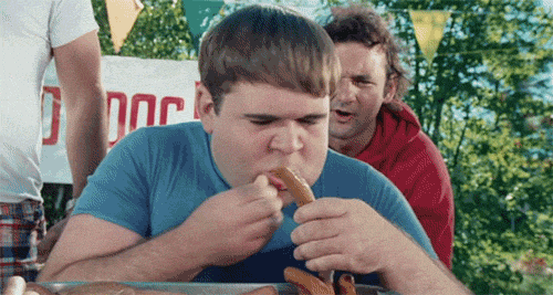 Eating-Dog Gifs - Get The Best Gif On Giphy