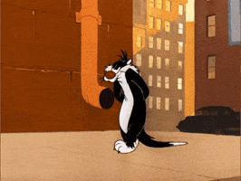 Frustrated Black Cat GIF by Looney Tunes
