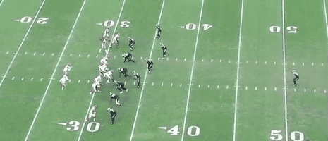 panthers GIF