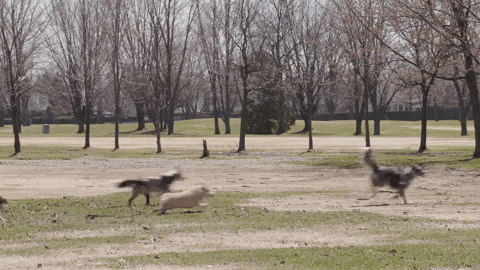 Matildamy giphyupload GIF