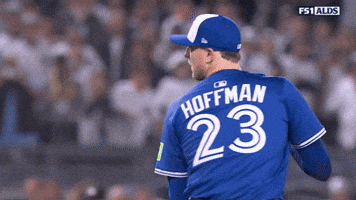Lets Go Baseball GIF by Toronto Blue Jays