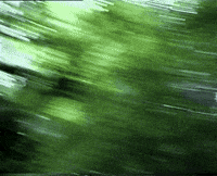 Smash Heavy Metal GIF by Medalla