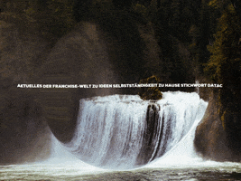 Happy Laugh GIF by FranchiseONE.de