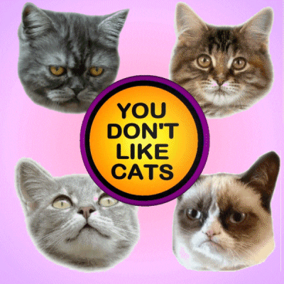 You Dont Like Cats GIF