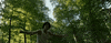 Dark Side Of The Rainbow Paradise GIF by Mergui