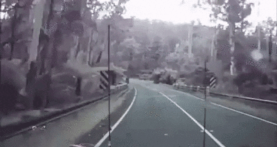 pass GIF