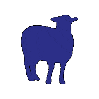 Mouton Echographie Sticker by XR REPRO