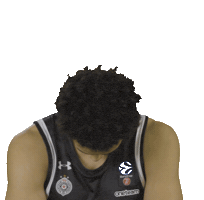 Partizan Sticker by sportmts