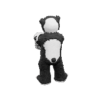 Panda Ailu Sticker by Endangered Labs