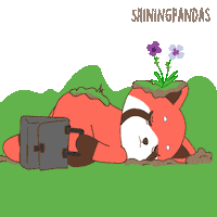 I Dont Want To Go Red Panda Sticker
