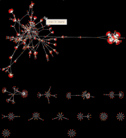bob dylan network GIF by Wolfram Research
