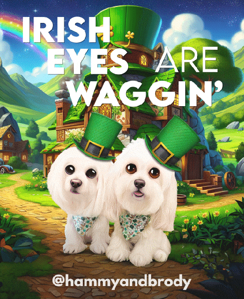 Wagging St Patricks Day GIF by HammyandBrody