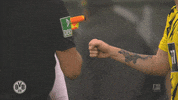 Borussia Dortmund GIF
