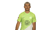 Knock Vfl Wolfsburg Sticker by Bundesliga