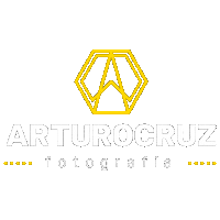 arturocruz16 diseno fotografia fotografos arturocruz Sticker