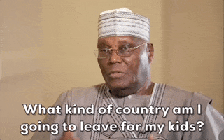 Pdp Abubakar GIF by GIPHY News