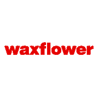 Waxflower Sticker by Rude Records