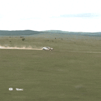 Problem Fail GIF by FIA European Rally Championship