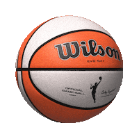 Wilson Sporting Goods Basketball Sticker by Wilson Football