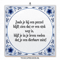 Humor Nl GIF by Tegelspreuken.nl