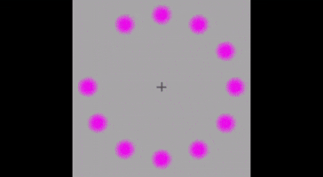 wetar loading roll rick load GIF