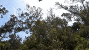 Rocco Botte Falling GIF by Mega64