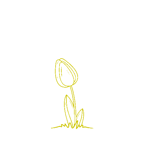 Springtime Tulip Sticker by HANS IM GLÜCK