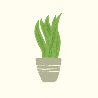 Vibes Growing GIF