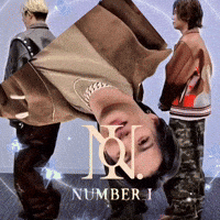 Numberi GIF