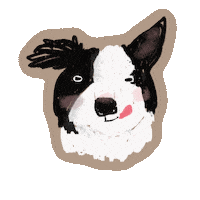 Bordercollie Sticker