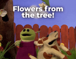 Flowers from the tree!