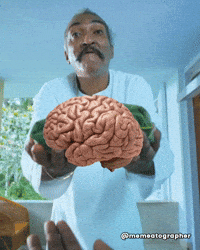 Sasi Brainmeme GIF