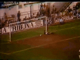 santos fc GIF by Santos Futebol Clube