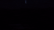 Matin Sluc GIF by SLUCNancyBasket