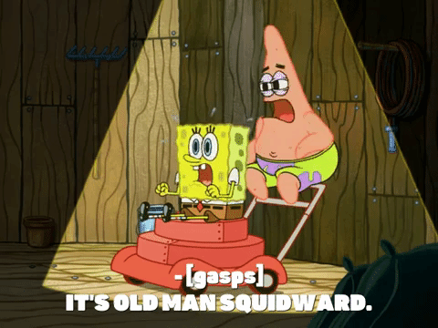 season 7 the curse of bikini bottom GIF by SpongeBob SquarePants