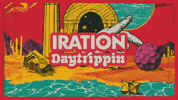 GIF by Iration