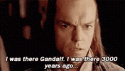 Lord Of The Rings A Long Time GIF