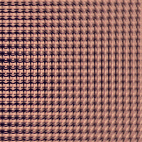 Staring Wake Up GIF