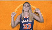 Cnwb19 GIF by Carson-Newman Athletics