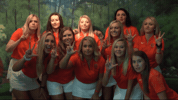 Cnwg19 GIF by Carson-Newman Athletics
