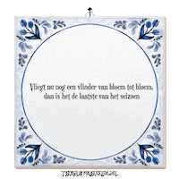 Moment Nl Sticker by Tegelspreuken.nl