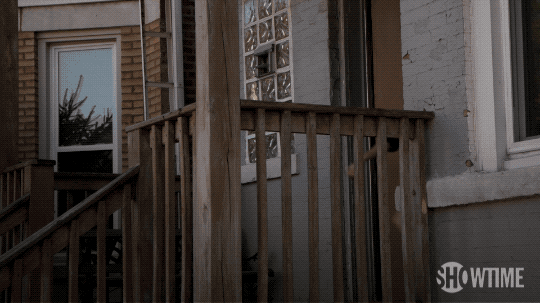 season 8 showtime GIF by Shameless
