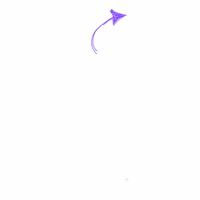 Petersirishdance dance irishdance crdm crdmusa GIF