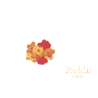 robincollection summer robin swimwear robincollection Sticker