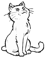 schoernchen cat white animal kitty Sticker
