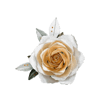 artisanblossoms love flower wedding rose Sticker